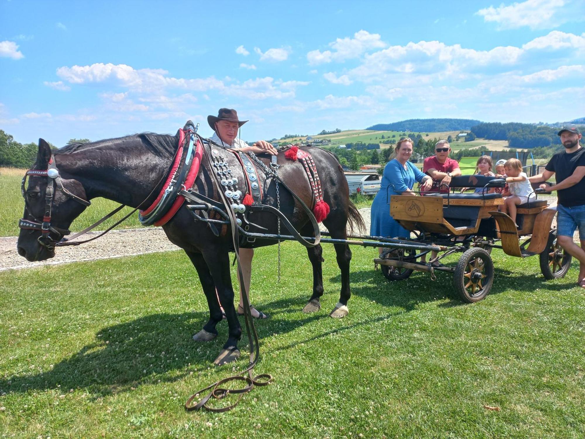 Komfortowe Domki Z Kominkiem Limanowa - Nowy Sacz ภายนอก รูปภาพ