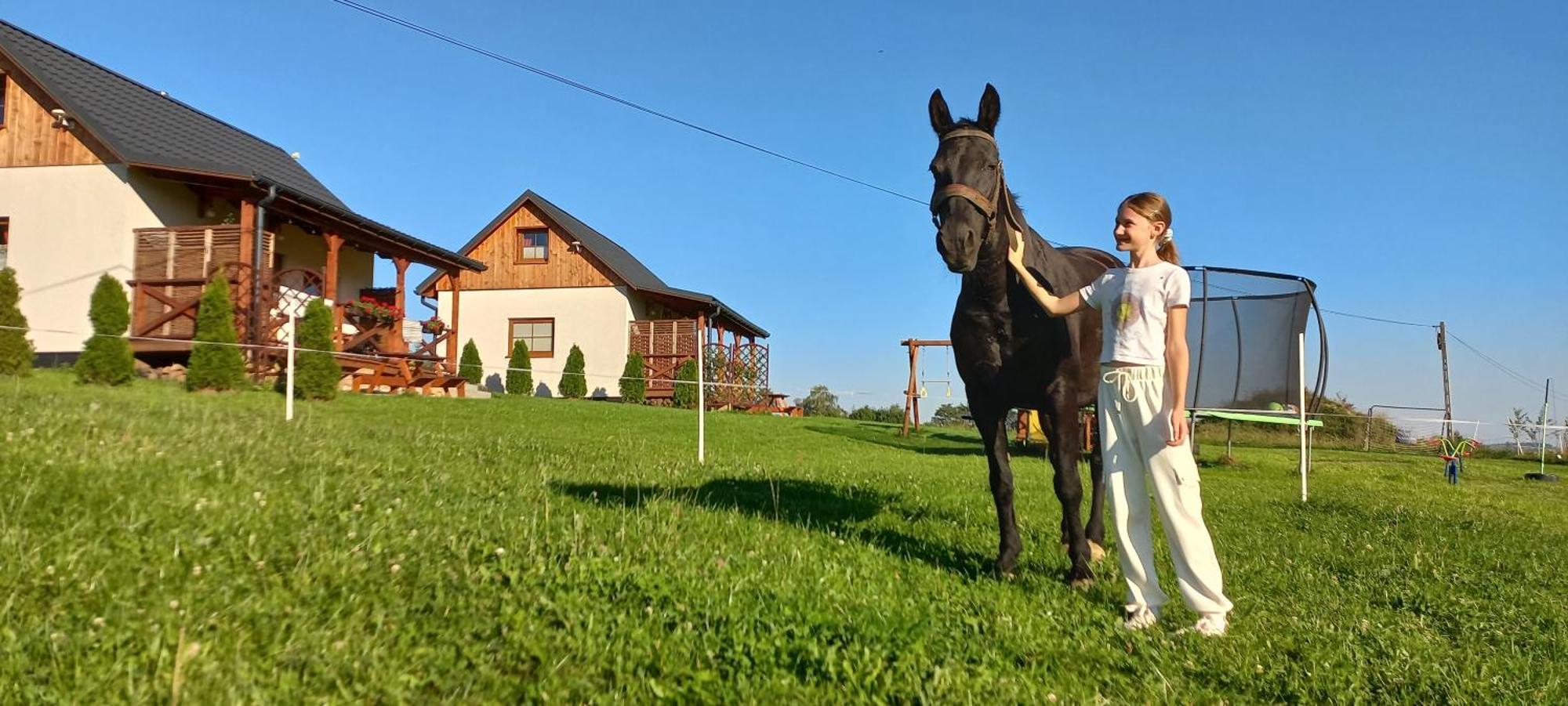 Komfortowe Domki Z Kominkiem Limanowa - Nowy Sacz ภายนอก รูปภาพ